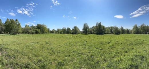 IMG_6553.jpeg