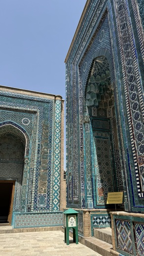 IMG_7079.jpeg