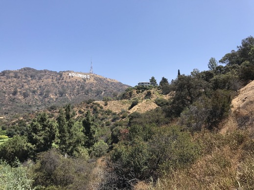 Hollywood Hills, Los Angeles