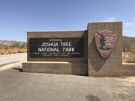 Joshua Tree national park, Kalifornie