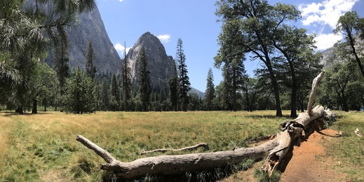 Yosemite national park, Kalifornie